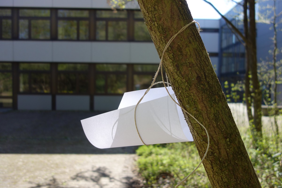 Blatt 16