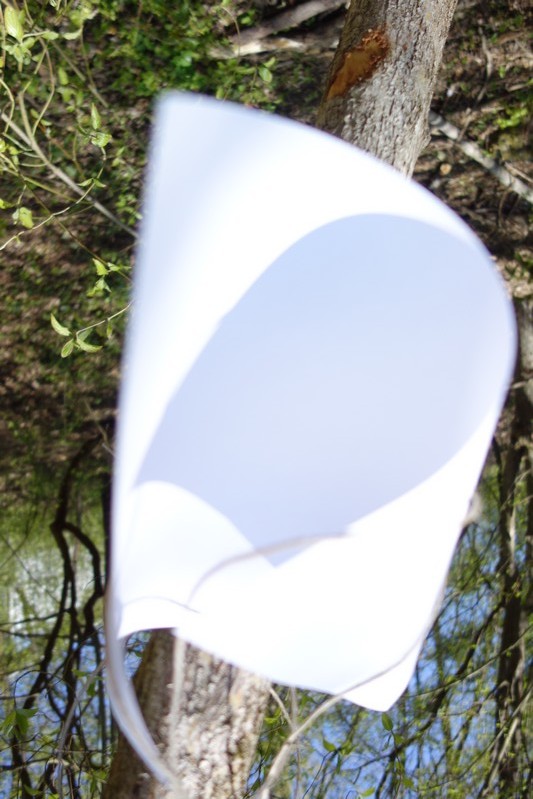 Blatt 25