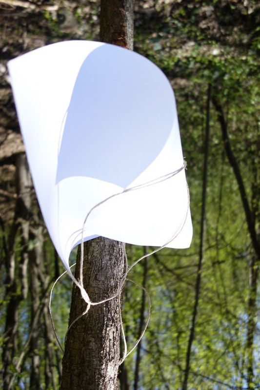 Blatt 31